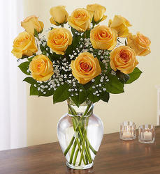 Premium Long Stem Yellow Roses from Clermont Florist & Wine Shop, flower shop in Clermont