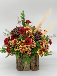 Autumn Bark Cube from Clermont Florist & Wine Shop, flower shop in Clermont