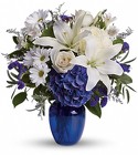 Beautiful in Blue from Clermont Florist & Wine Shop, flower shop in Clermont
