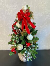 Oh Christmas Tree! from Clermont Florist & Wine Shop, flower shop in Clermont