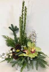 Christmas Orchids from Clermont Florist & Wine Shop, flower shop in Clermont