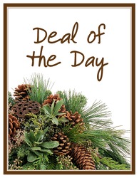 Deal of the Day - Winter from Clermont Florist & Wine Shop, flower shop in Clermont