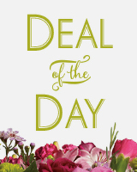 Deal Of The Day By Clermont Florist from Clermont Florist & Wine Shop, flower shop in Clermont