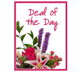 Deal of the Day - Valentine's Day from Clermont Florist & Wine Shop, flower shop in Clermont