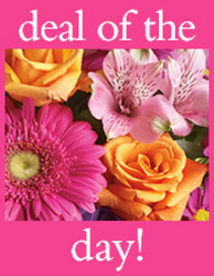 Deal of the Day from Clermont Florist & Wine Shop, flower shop in Clermont