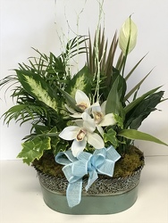 Tin Oval Planter from Clermont Florist & Wine Shop, flower shop in Clermont