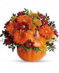 Country Pumpkin Bouquet from Clermont Florist & Wine Shop, flower shop in Clermont