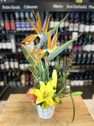 Birds In Bloom from Clermont Florist & Wine Shop, flower shop in Clermont