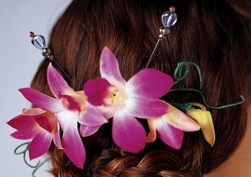 Elegant Orchid Headpiece from Clermont Florist & Wine Shop, flower shop in Clermont