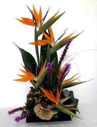 Birds of Paradise from Clermont Florist & Wine Shop, flower shop in Clermont
