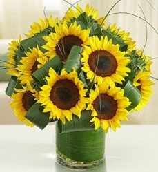 Sun Sational Sunflowers from Clermont Florist & Wine Shop, flower shop in Clermont