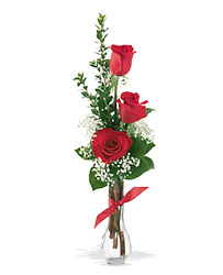 3 Red Roses from Clermont Florist & Wine Shop, flower shop in Clermont