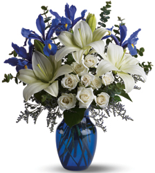 Blue Horizons from Clermont Florist & Wine Shop, flower shop in Clermont