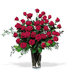 Three Dozen Red Roses from Clermont Florist & Wine Shop, flower shop in Clermont