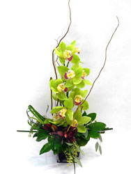 Zenfully Yours! from Clermont Florist & Wine Shop, flower shop in Clermont