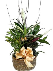 8" Ceramic Planter Garden By Clermont Florist from Clermont Florist & Wine Shop, flower shop in Clermont