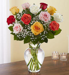 A Dozen Premium Mixed Roses from Clermont Florist & Wine Shop, flower shop in Clermont