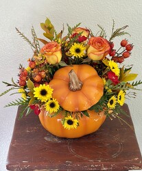 Pumpkin Spice from Clermont Florist & Wine Shop, flower shop in Clermont