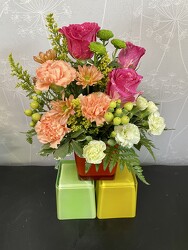 Citrus Cube Assortment