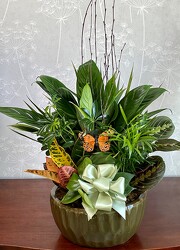 Assorted Tropical Greens Planter from Clermont Florist & Wine Shop, flower shop in Clermont