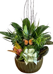 10" Ceramic Planter By Clermont Florist from Clermont Florist & Wine Shop, flower shop in Clermont