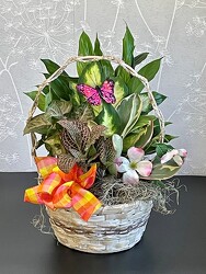 Garden Planter from Clermont Florist & Wine Shop, flower shop in Clermont