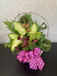 MOTHER'S DAY PLANTER