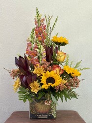Pumpkin Patch from Clermont Florist & Wine Shop, flower shop in Clermont