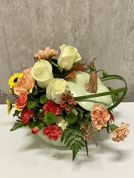Sage Harvest Pumpkin from Clermont Florist & Wine Shop, flower shop in Clermont