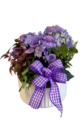 Spring Planter by Clermont Florist from Clermont Florist & Wine Shop, flower shop in Clermont