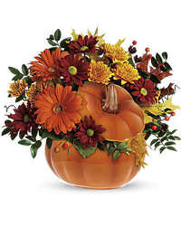 Country Pumpkin from Clermont Florist & Wine Shop, flower shop in Clermont