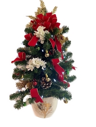 Oh Christmas Tree! from Clermont Florist & Wine Shop, flower shop in Clermont
