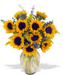 Endless Sunflower Bouquet from Clermont Florist & Wine Shop, flower shop in Clermont