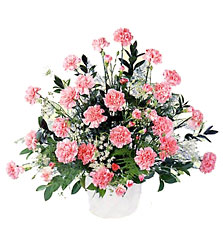  Meditation Arrangement from Clermont Florist & Wine Shop, flower shop in Clermont