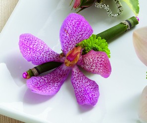 Pink Mokara Boutonniere from Clermont Florist & Wine Shop, flower shop in Clermont