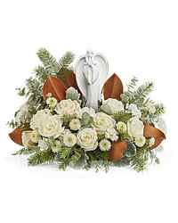 Season's Grace from Clermont Florist & Wine Shop, flower shop in Clermont