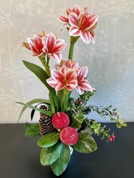 Striped Amaryllis Arrangement from Clermont Florist & Wine Shop, flower shop in Clermont