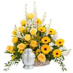 Rays of Sunshine Basket Surround from Clermont Florist & Wine Shop, flower shop in Clermont