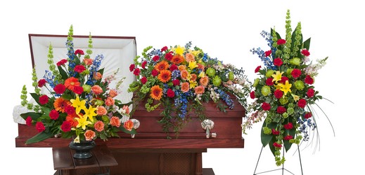 Treasured Celebration Trio  from Clermont Florist & Wine Shop, flower shop in Clermont