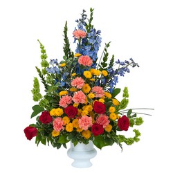 Celebration Tribute from Clermont Florist & Wine Shop, flower shop in Clermont