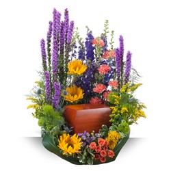 Celebration Garden Surround from Clermont Florist & Wine Shop, flower shop in Clermont