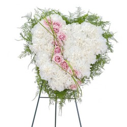 Tears of Roses from Clermont Florist & Wine Shop, flower shop in Clermont
