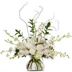 White Elegance from Clermont Florist & Wine Shop, flower shop in Clermont