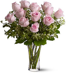A Dozen Pink Roses from Clermont Florist & Wine Shop, flower shop in Clermont