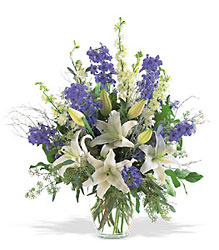 Hanukkah Arrangement from Clermont Florist & Wine Shop, flower shop in Clermont